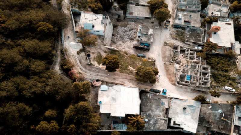 Managing Organic Debris During Property Transformation Projects